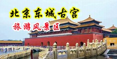 舔下面AV动态图中国北京-东城古宫旅游风景区